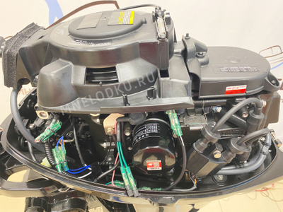 Лодочный мотор TOYAMA F20ABMS под колпаком