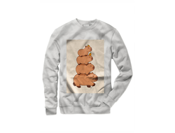 Свитшот Капибара, Kapibara-san №18