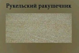 Рукельский