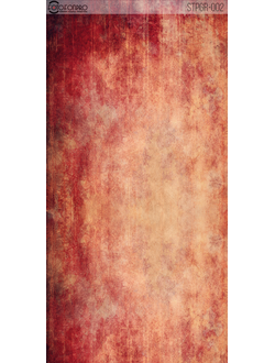 Фотофон на холсте «Эстра»