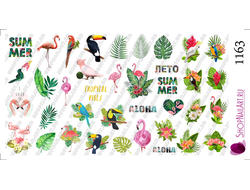 Слайдер-дизайн 1163 - Лето, тропические птицы