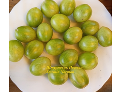 Томат Штурмовик Норман черри (Stormin Norman)