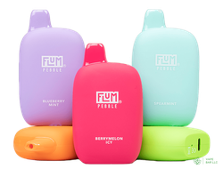 Одноразовые электронные сигареты Flum Pebble