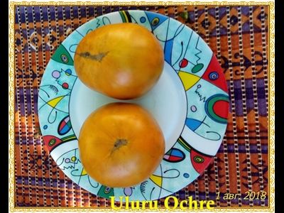 Томат Гном Улуру охра (Dwarf Uluru Ochre), США, Австралия