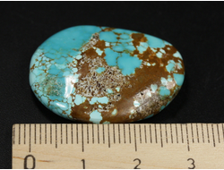 Бирюза, полировка плоская, США, Невада (30*24*6 мм, 7 г) №37844