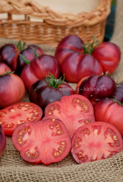 Томат Пленительный Аметист, 10 шт