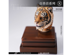 Голова (скульпт) с кистями - рыжий тигр 1/6 Tiger Head Figure (MS2103B) - Mostoys