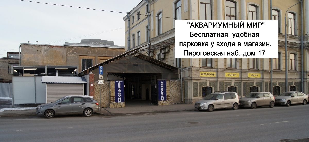 Купить аквариум в СПб недорого, цены на аквариумы в магазине ...