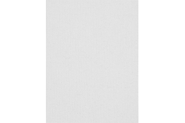 Плэйн black-out 0225 белый (цен.кат. 1)