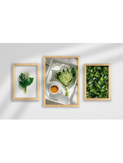 Набор постеров в раме из 3 шт.,  дерево, ПРН-171