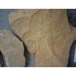 Галтованный песчаник Фонтанка серо-зелёная