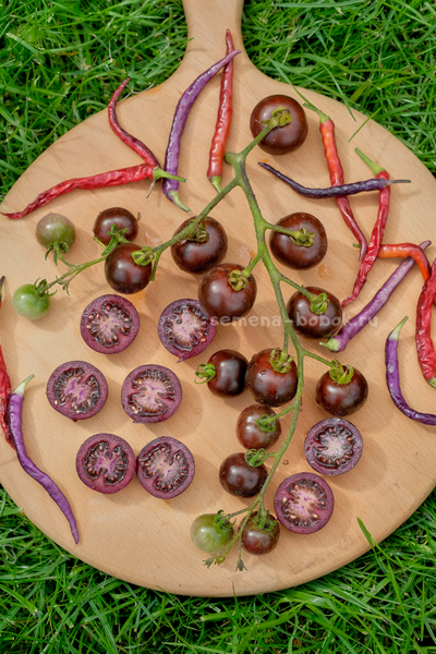 Томат Empress Purple Tomato (Черничный Щербет), 8 шт