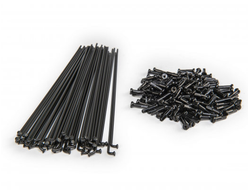 Комплект спиц BMX ECLAT Plain Gauge черный