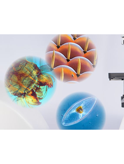 Общеклиническая практика