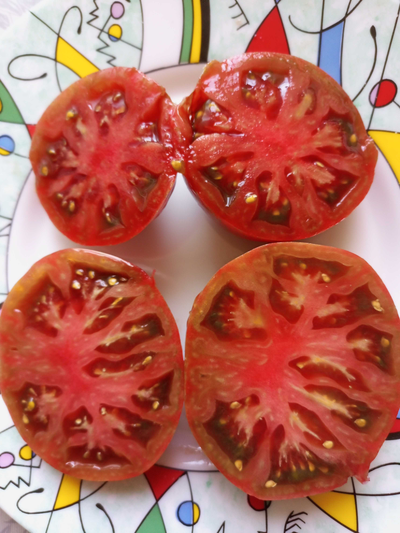 Томат гном Металлика (Dwarf Metallica)