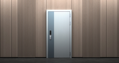 Стальная дверь   Spark. Заказная модель.