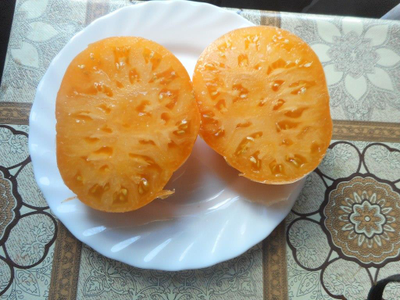 Томат Золотой медведь Гэри (Garys golden bear) США