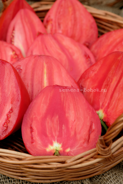 Томат Cuore Antico di Aqui Terme (Старинное сердце Акви Терме), 10 шт