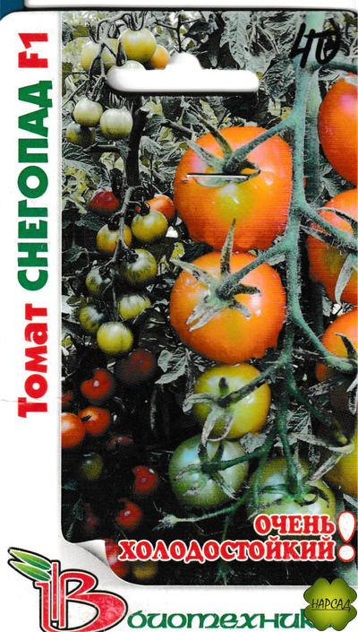 Томат "Снегопад" (высокорослый, выносливый)