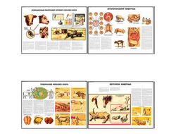 Плакаты ПРОФТЕХ "Меры борьбы с заразными заболеваниями с/х животных и птицы" (23 пл, винил, 70х100)