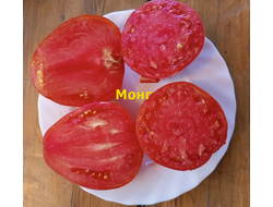 Томат Монг (Mong, США)