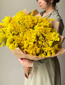 Охапка мимозы L