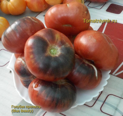 Томат Голубая прелесть (Blue Beauty), США