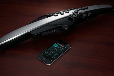 Roland Aerophone Pro AE-30