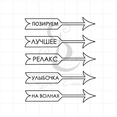ФП штамп "Позируем"