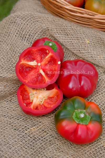 Перец сладкий Александр, 10 шт