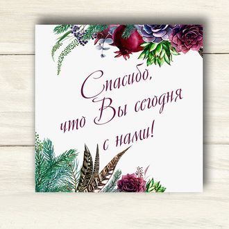 Гранаты и Суккуленты