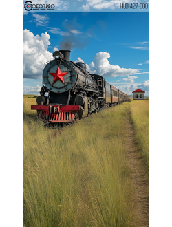 Фотофон виниловый «Локомотив»