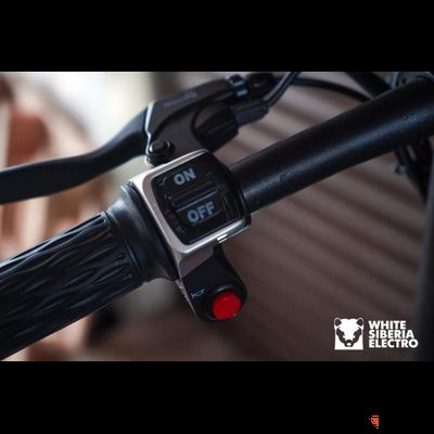 Электроскутер WHITE SIBERIA mini 500W