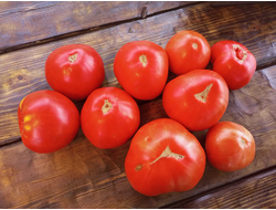 Томат Летя (Rosii de Letea), Румыния
