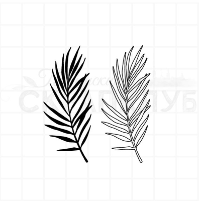 ФП штамп "Листья пальм" 3