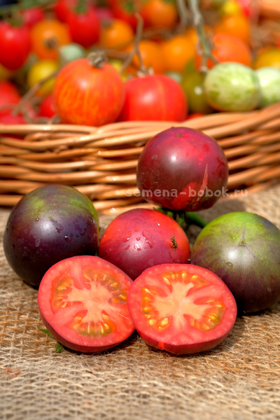 Томат Dwarf Gondwana Rose (Гном Гондвана Роза), 10 шт