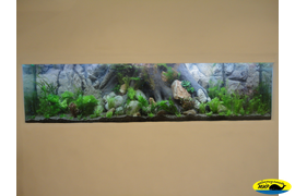 ИЗГОТОВЛЕНИЕ И ОФОРМЛЕНИЕ АКВАРИУМА