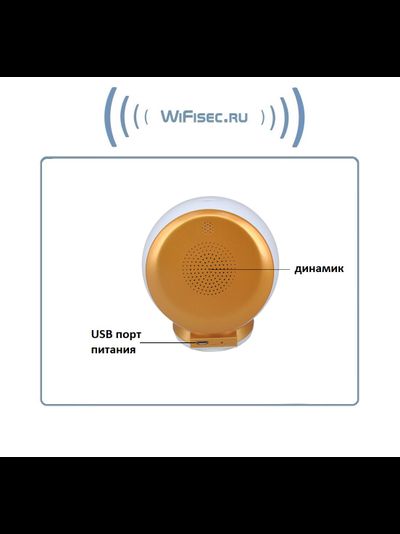 EtongSS WiFi видеоняня/IP видеокамера, моторизированная, с DVR. Full HD 3Mp