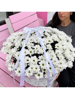 КОРЗИНА РОМАШКОВЫХ ХРИЗАНТЕМ