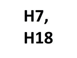 Светодиодные лампы Н7, Н18