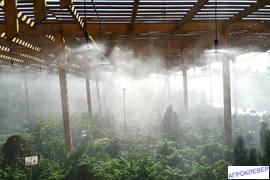 Система туманообразования низкого давления "под ключ"