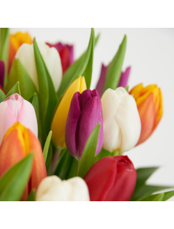 Корзина ярких тюльпанов