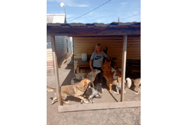 Мы передали от нас с вами вкусные гостинцы подопечным приюта "Рыжики". За период с 27.04 по 01.07.23 сумма по благотворительным купонам составила 6400 руб.