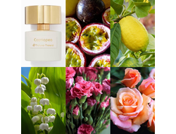 Tiziana Terenzi Cassiopea