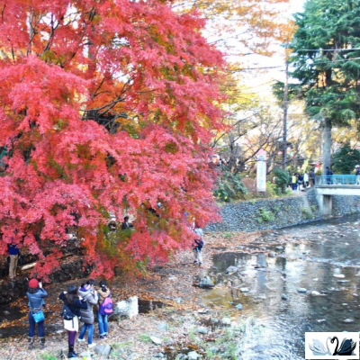 Керамогранит Belani Tokao светло-бежевый 60х60 cм матовый Береза керамика