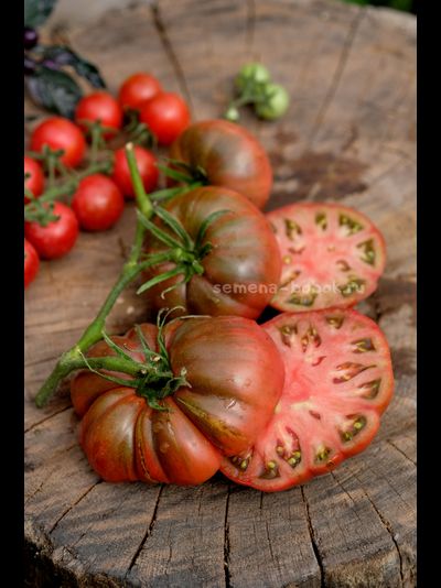 Томат Один Трюк Пони ( One Trick Pony), 10 шт