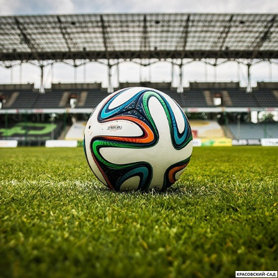 Рулонный газон Спортивный