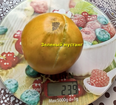 Томат Зеленый мустанг (Green Mustang)