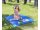 Портативный карманный коврик для пикника Picnic Mat