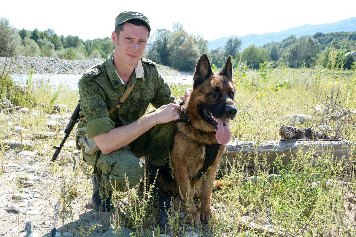 Пограничник с собакой. Источник: https://telegra.ph/Pogranichniki-Rossii-Foto-11-23